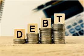 Debt: the gain and the pain